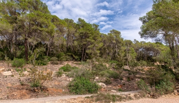 Resa estates Geraldine te koop finca noorden north ibiza sale bathroom mountain views.jpg